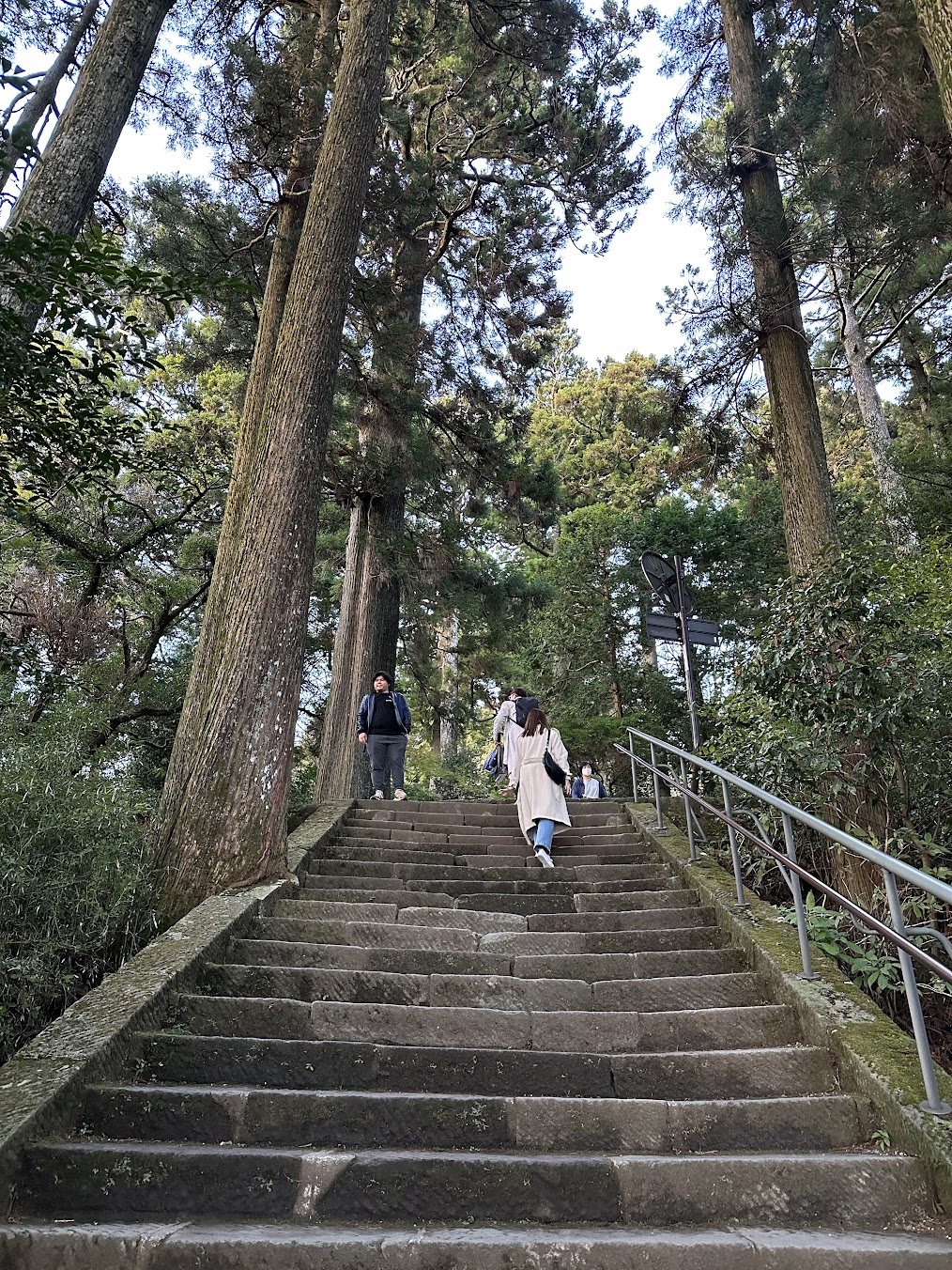 【四處遊盪】2023東京、箱根秋之旅 DAY 4-3~箱根神