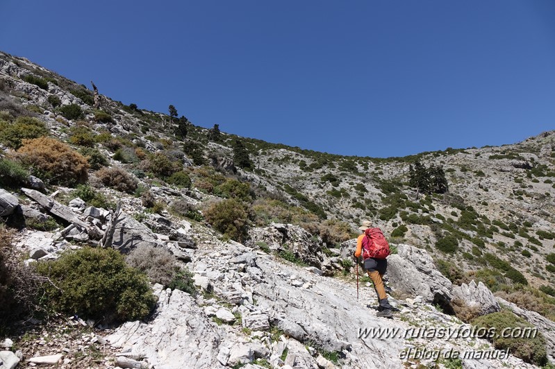 Puerto Corona-Oreganeros-Torrecilla-Atalayas