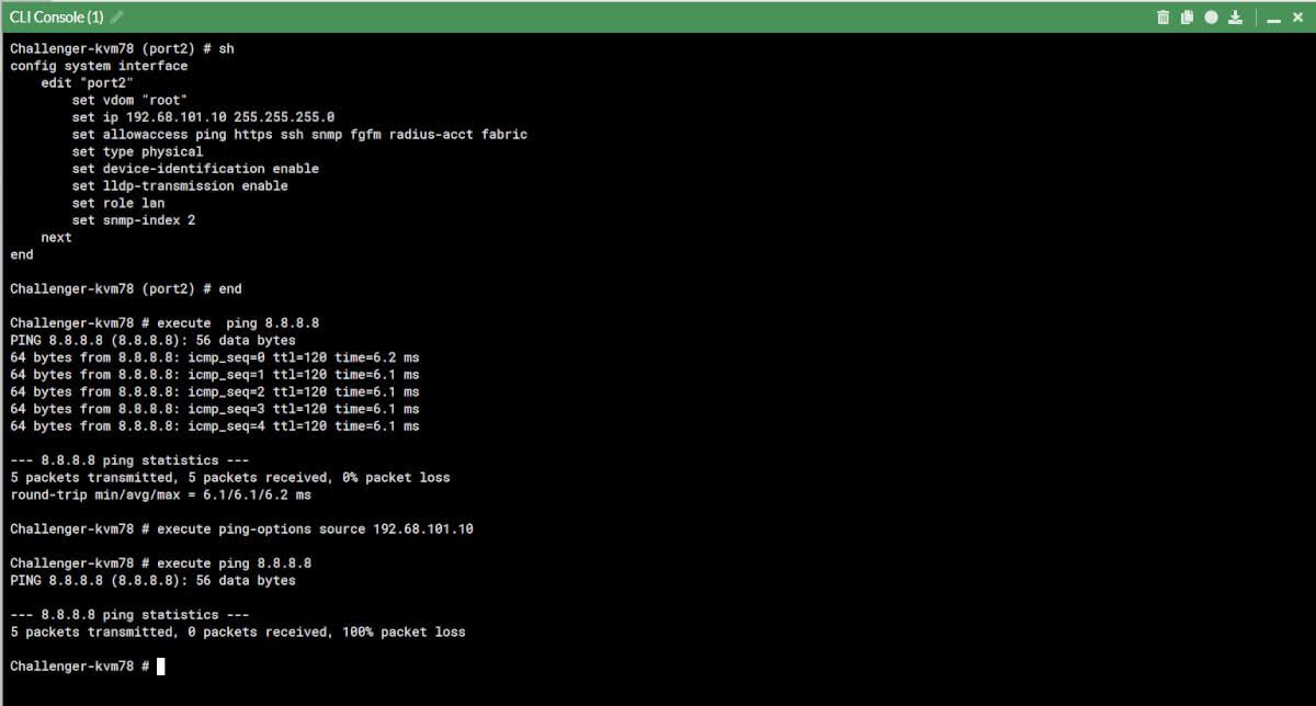 Ping from an interface