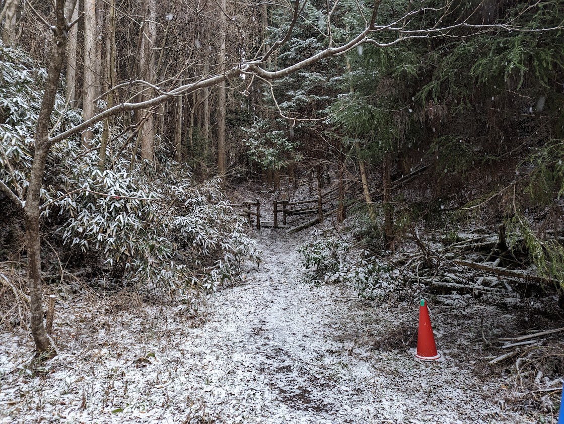 五ツ辻を下ったところ。（雪が積もっているのは帰りの写真のためです）