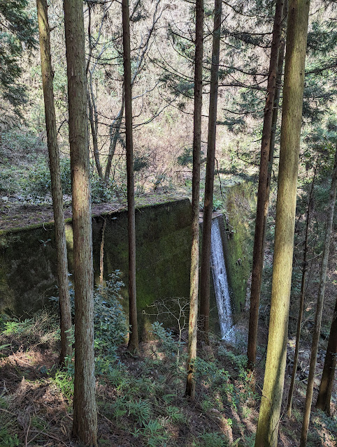 ちゃんと左手の登山道からなら普通に砂防ダムを超えていけますｗ ここから川沿いの細い登山道を歩くことになりますが、杉の落ち葉がかなり堆積していて滑りそう、 一歩間違うと谷底で注意が必要です。