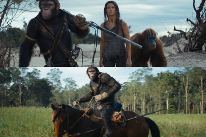 Kingdom of the Planet of the Apes filme