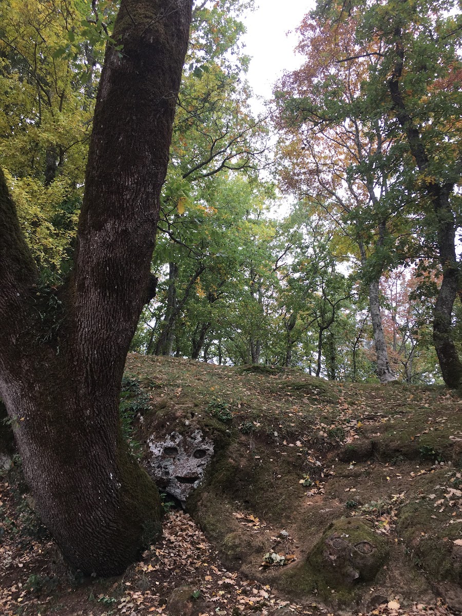 Sorano, Insediamento rupestre di San Rocco. Numerosi sono gli ambienti scavati nel tufo a testimonianza della frequentazione dellarea in epoca antica