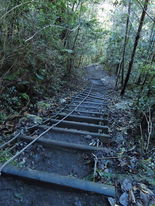 2023_新竹～霞喀羅古道~D1（養老步道口~楢山駐在所）*