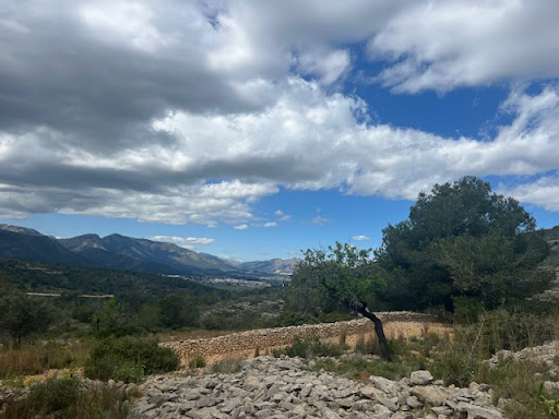 Google Photo