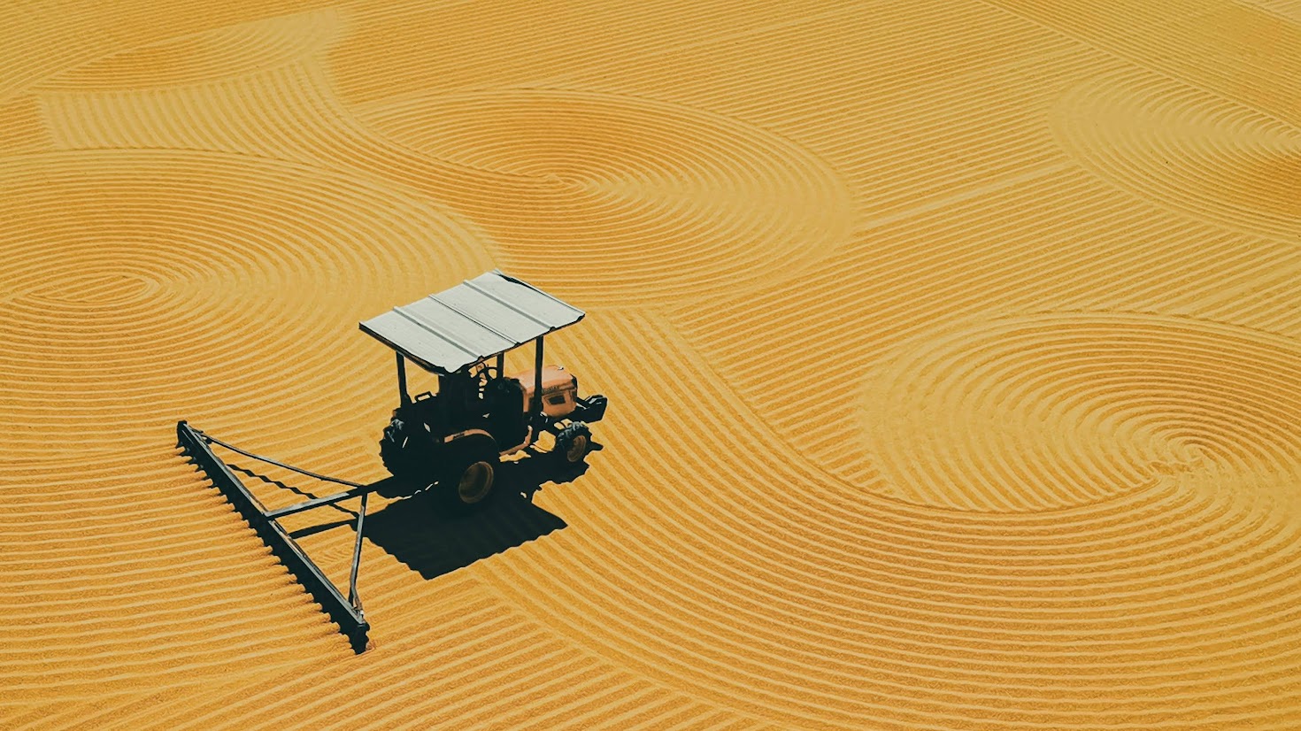 Agricoltura Accordo MASAF-CDP-Intesa Sanpaolo - Foto di Mehmet Turgut Kirkgoz da Pexels