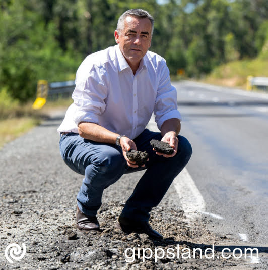 Federal Member for Gippsland Darren Chester says poor conditions on the Princes Highway have been a contributing factor in a spate of recent crashes and damage to vehicles