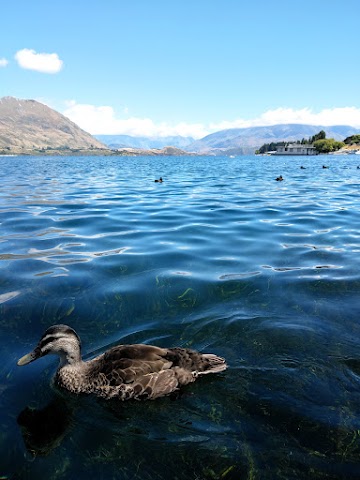 Lake Wanaka