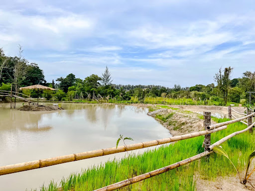 Swimming pond in Naithon Sanctuary