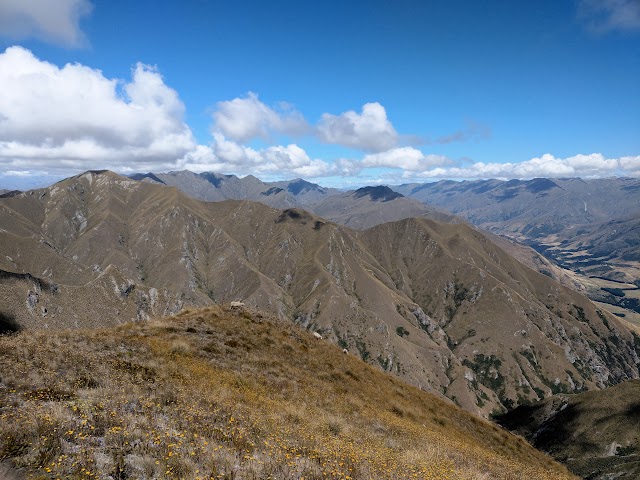 Skyline Ridge Track