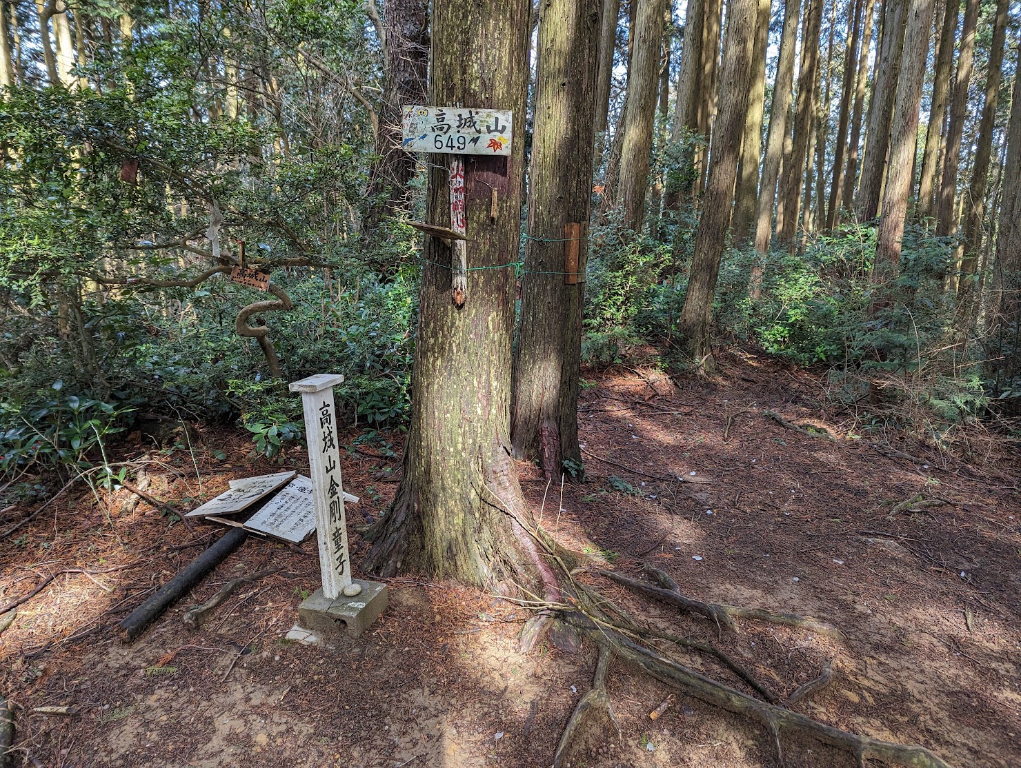 ようやく高城山！まあ、眺望はありません。
ここで少し遅めのお昼ごはんを頂き、ここも早々に帰路につきます。