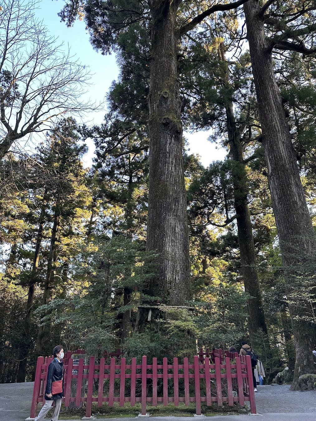 【四處遊盪】2023東京、箱根秋之旅 DAY 4-3~箱根神