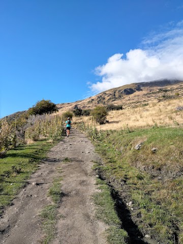 Roys Peak Track