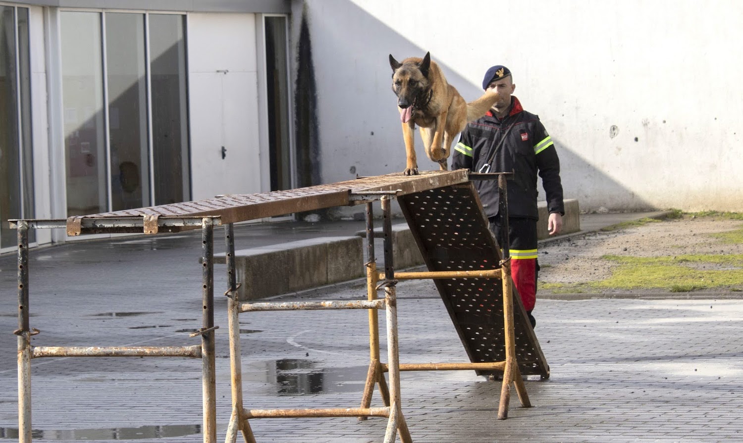 Bombeiros de Lamego participam na Semana da Proteção Civil