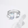 miniatures image - 1