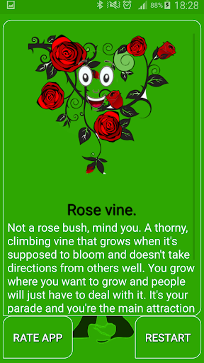 Quiz. What My Spirit Plant ?