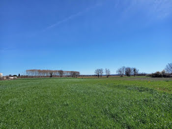 terrain à Senouillac (81)