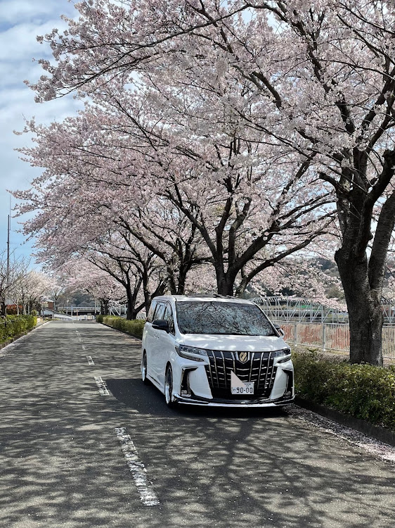 レクサさんが投稿した今までに所有した車でNo.1は？・30アルファード後期に関するカスタム事例の投稿画像4枚目