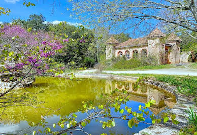 House with pool and garden 3