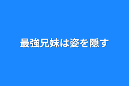 最強兄妹は姿を隠す