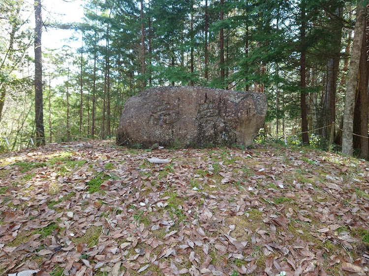 の投稿画像11枚目