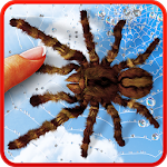 Cover Image of Download Spider, live wallpaper 1.0.4 APK