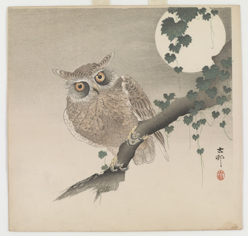Owl perched on a tree branch and full moon
