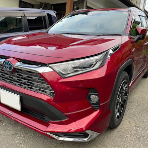 RAV4 AXAH54