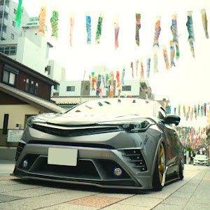 C-HR ZYX10