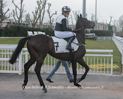 Prix Lutteur III 2015 (St., L., Auteuil) 22-03 : Amirande Px_t74wvdieNepIMLO7p6sWIf6Hw7GgzrOJrizer3T6v=w252-h202-p-no