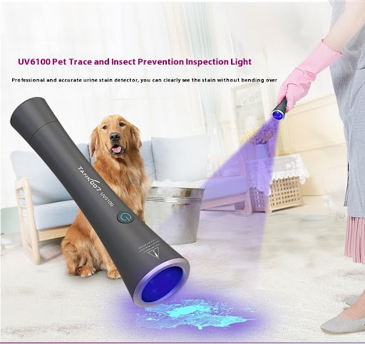 Title 1, UV Flashlight for Pet Urine Stain Detection. In...