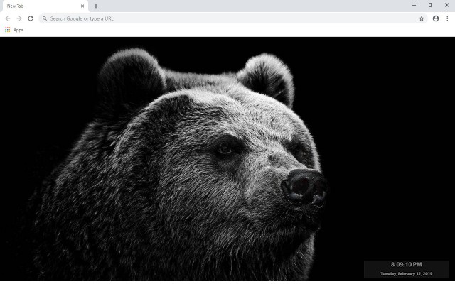 Bear New Tab & Wallpapers Collection
