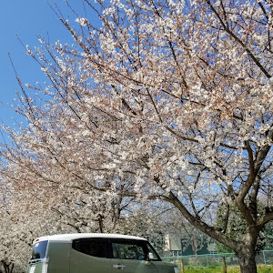 Nボックススラッシュ JF1