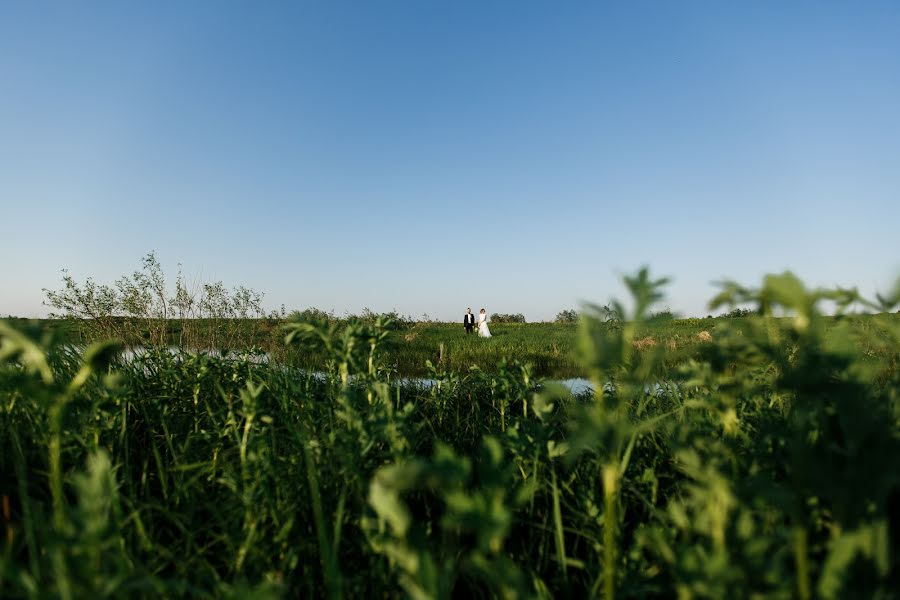 Vestuvių fotografas Dmitriy Kiyatkin (dphoto). Nuotrauka 2018 sausio 17