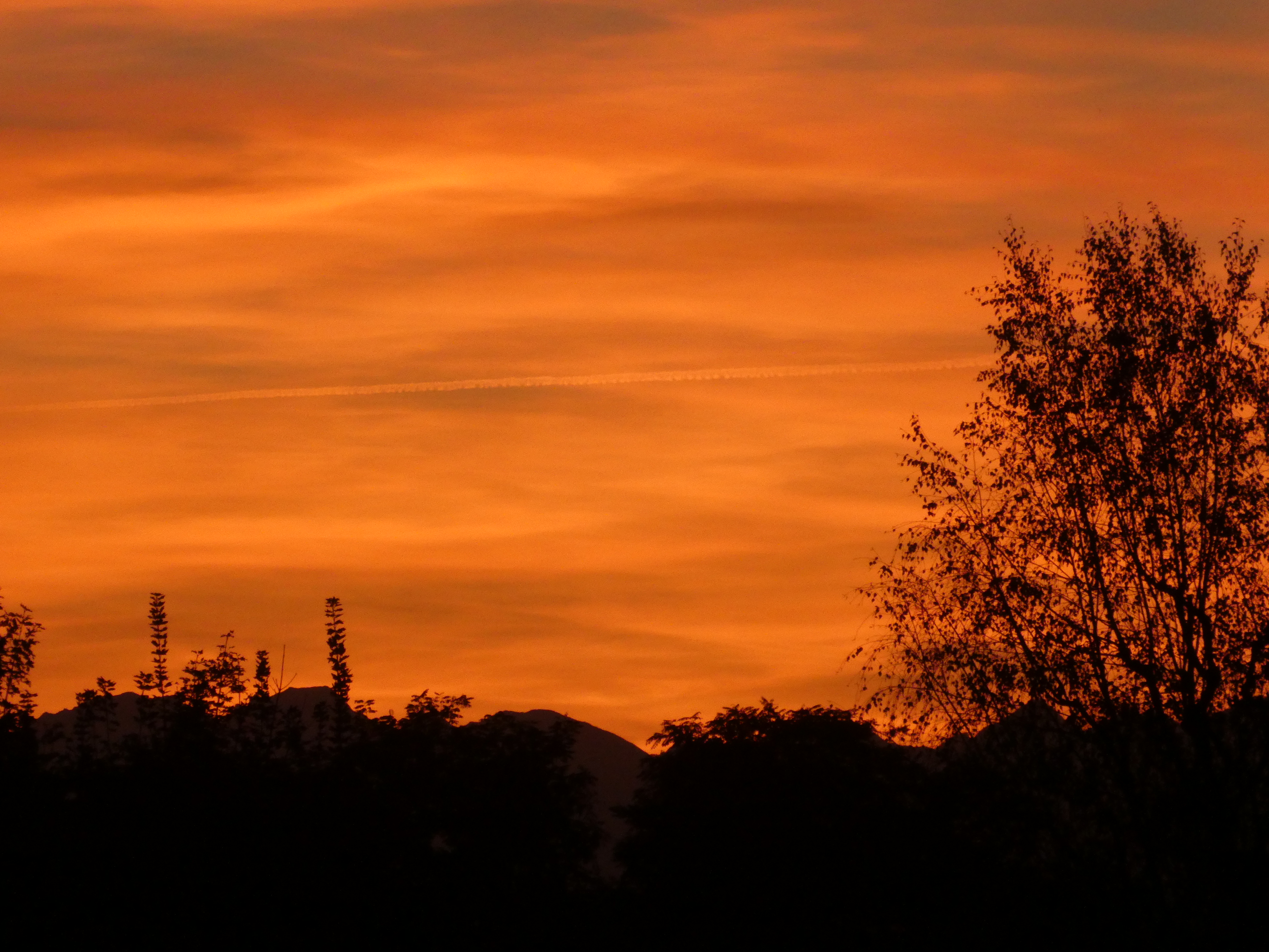 orange, ovvero arancio di quattrocchi