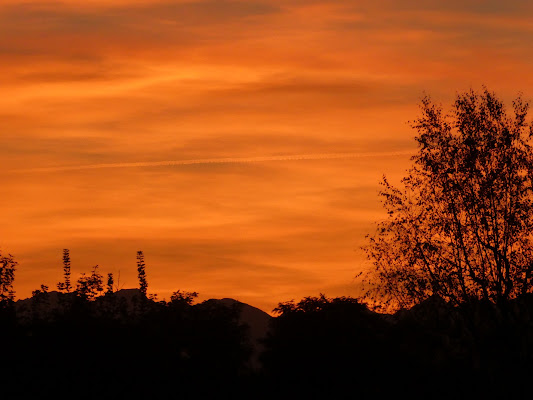 orange, ovvero arancio di quattrocchi