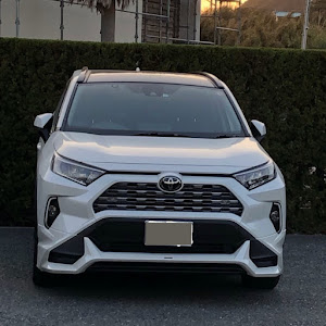 RAV4 MXAA54