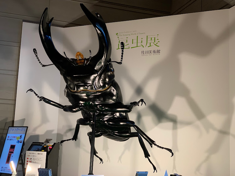 RS5 スポーツバックの佐川美術館・三重県・滋賀県・長距離ドライブに関するカスタム事例の投稿画像3枚目