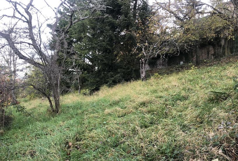  Vente Terrain à bâtir - 1 223m² à Bourg-de-Thizy (69240) 