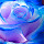 Blue Rose Wallpapers HD Theme