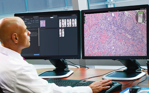 Synapse Pathology Workflow Extension