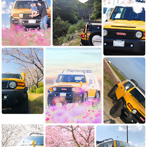 FJクルーザー GSJ15W