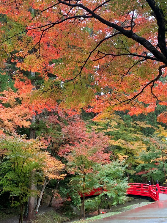 レヴォーグの2022ベストショット・11月にエントリーします❗️・今日の浜松ツーリングの小國神社⛩の紅葉🍁・いつもいいね＆コメントありがとうございます🥰に関するカスタム事例の投稿画像4枚目