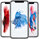 Download Betta Fish Wallpapers For PC Windows and Mac