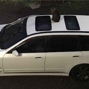 ステージア M35