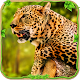 Download Furious Big Cats Simulator For PC Windows and Mac 1.0