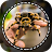 Spider Identifier App by Photo icon