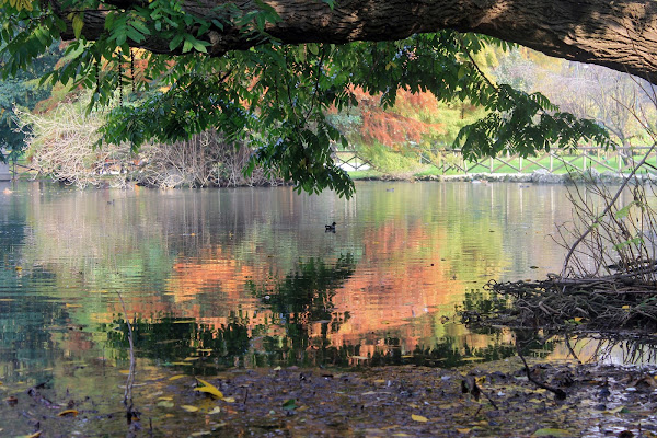 Autumn di FRA1985H