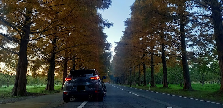 CX-3の田舎の朝が早すぎる・夜明け前から何やっとるんだ・散歩じゃねえよなに関するカスタム事例の投稿画像2枚目
