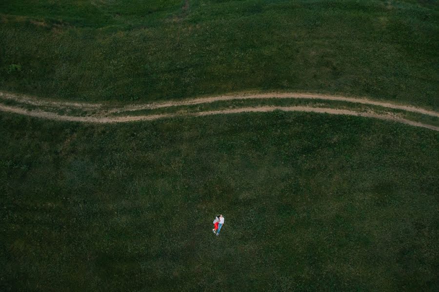 Fotógrafo de bodas Dmitriy Frolov (xiii). Foto del 11 de junio 2018